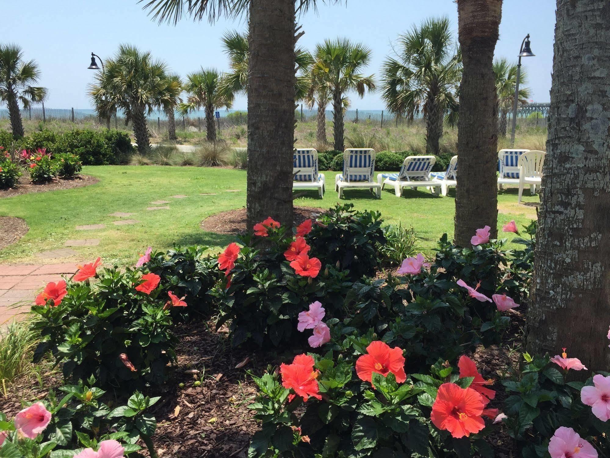 Windsurfer Hotel Myrtle Beach Exterior photo